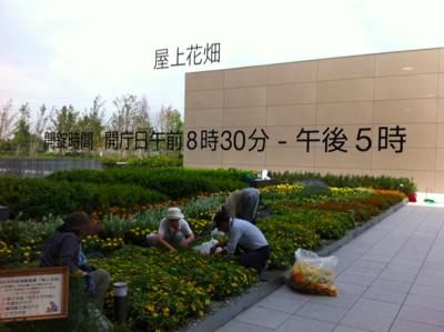 sIMG_6265.jpg