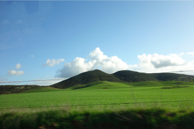 sDSC06253.jpg