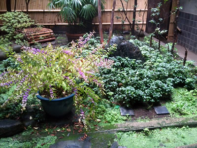 船橋屋