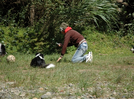 Ȋ