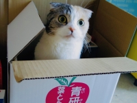 びっくり