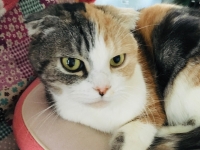 まったり