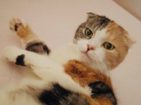 まったり