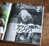 筍ドッグ