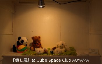 癒し展の写真