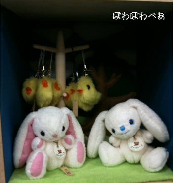 2010.5.7のハコウリ