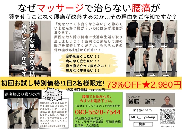 AKS療法 AKS療法 DVD 4枚組+梨状筋筋細胞リリース+