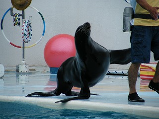 DSCF4523.jpg