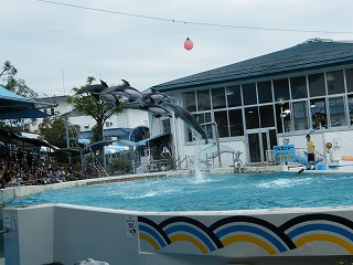 DSCF4539.jpg