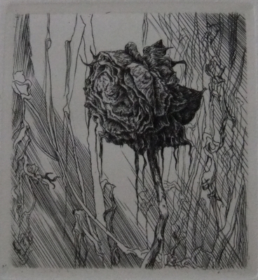ベストセラー 銅版画 銅版画 - 12/60（渡辺千尋展 エディション 卵夢 渡辺千尋 版画