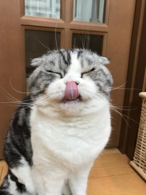 image2.jpeg