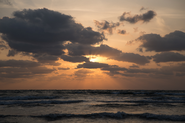 DSC_0858.jpg