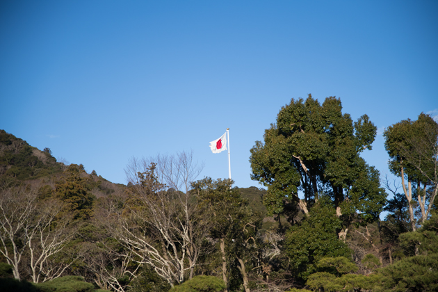 DSC_0931.jpg