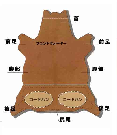 馬革部位.jpg