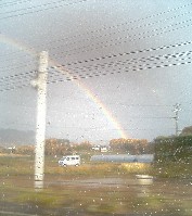虹
