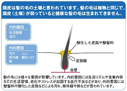 モッミダッシュ4図1