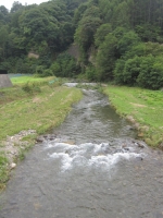 南相木川