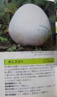 オニフスベ3