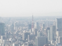スカイツリー 東京タワー