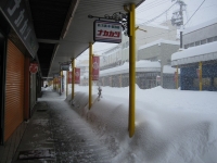 2014.2.15 大雪 3 ナカカツ