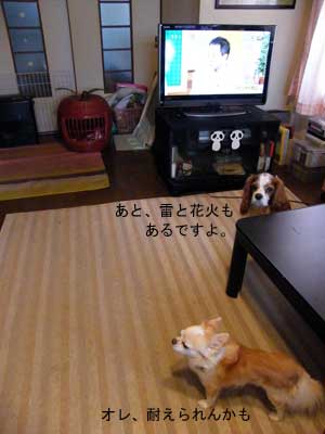 むぎ怖い