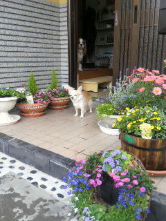 雨移動