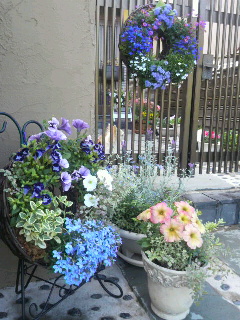 201205031