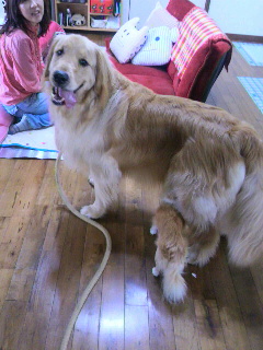 201205033