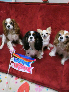 201205051