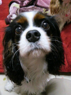 201205052