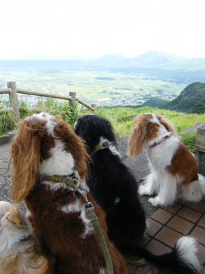 産山5