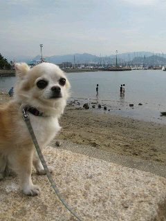 小戸公園2