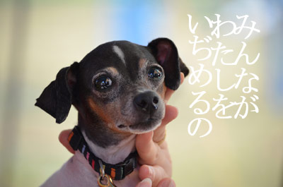 1210天音
