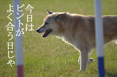 1210霜