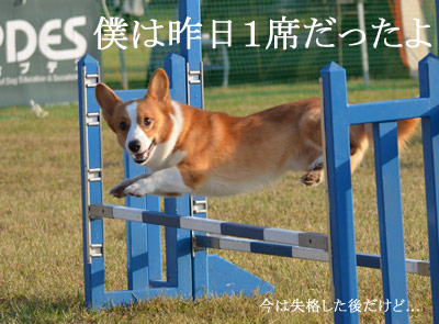 1210こた