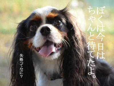 1210なる