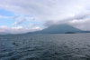 海1