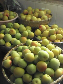 ume