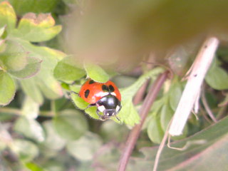 SN3D00400001.jpg
