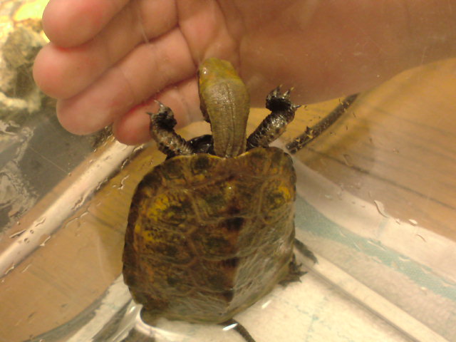SN3D02530001.jpg