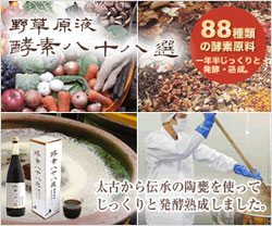 酵素 口コミ 野草