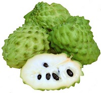 アテモヤ1 (1).jpg