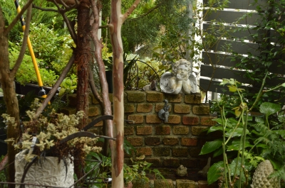 DSC_1953.JPG