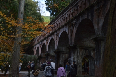 DSC_3667.JPG
