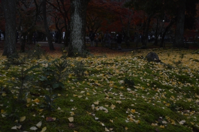 DSC_3675.JPG