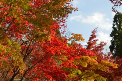 DSC_3712.JPG