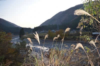 DSC_3720.JPG