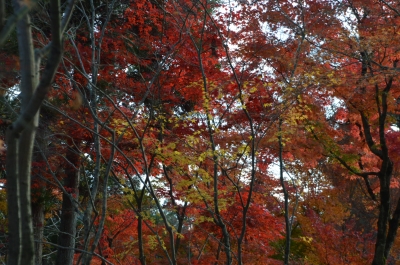 DSC_3708.JPG