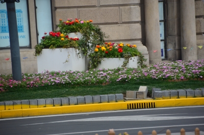 DSC_7276.JPG