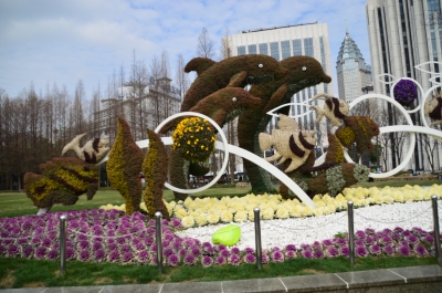DSC_7279.JPG